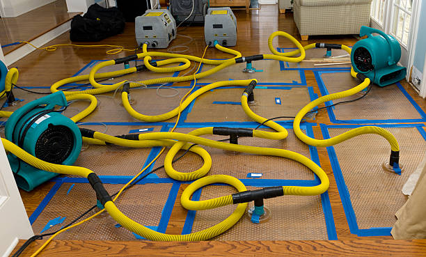 Professional Flood Damage Restoration technician working in Osceola, AR